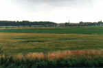 Baren1.jpg (35223 bytes)