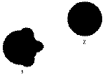 Dieren2000.gif (857 bytes)