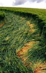 zueschendet1.jpg (38159 bytes)