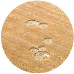 Vanderhoof2001a.gif (42377 bytes)