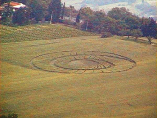 crop circles in Bertinoro