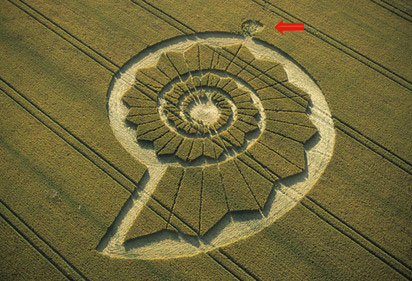 crop circles in Pewesey 2022