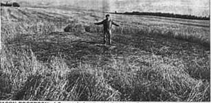 edward98b.jpg (11942 bytes)