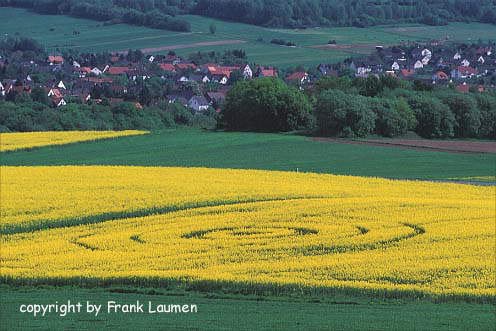 Burghasungen3.jpg (37985 bytes)