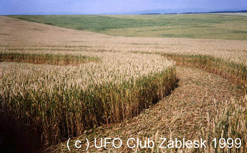 tr2.jpg (40425 bytes)