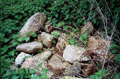 falkners2000e.jpg (67734 bytes)