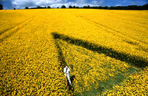 stevefurze2000b.jpg (281038 bytes)