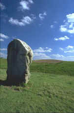 img0007.jpg (60126 bytes)