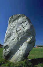 img0008.jpg (66263 bytes)