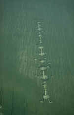 img0077.jpg (38735 bytes)