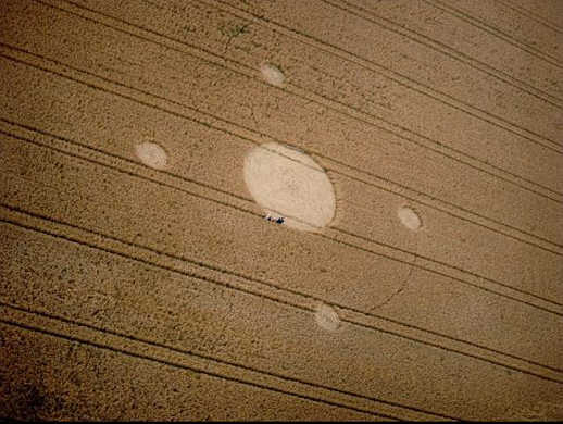 longstock85a.jpg (34126 bytes)