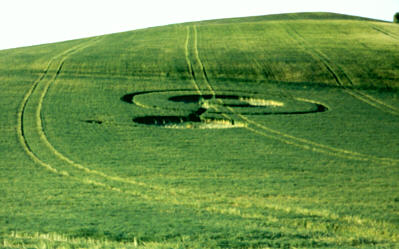 Barton99d.jpg (25672 bytes)