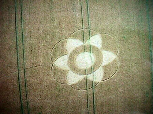 MVC-023F.jpg (37825 bytes)