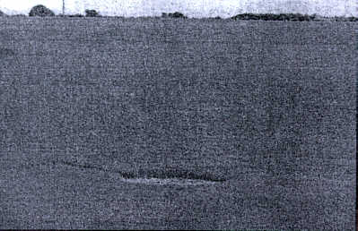 sutton99a.jpg (20968 bytes)