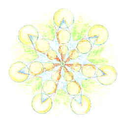 francis4.jpg (18872 bytes)