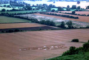 giant1e.jpg (35110 bytes)