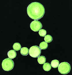 spirallingcircles99.jpg (200362 bytes)